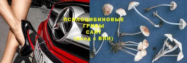 ECSTASY Кодинск